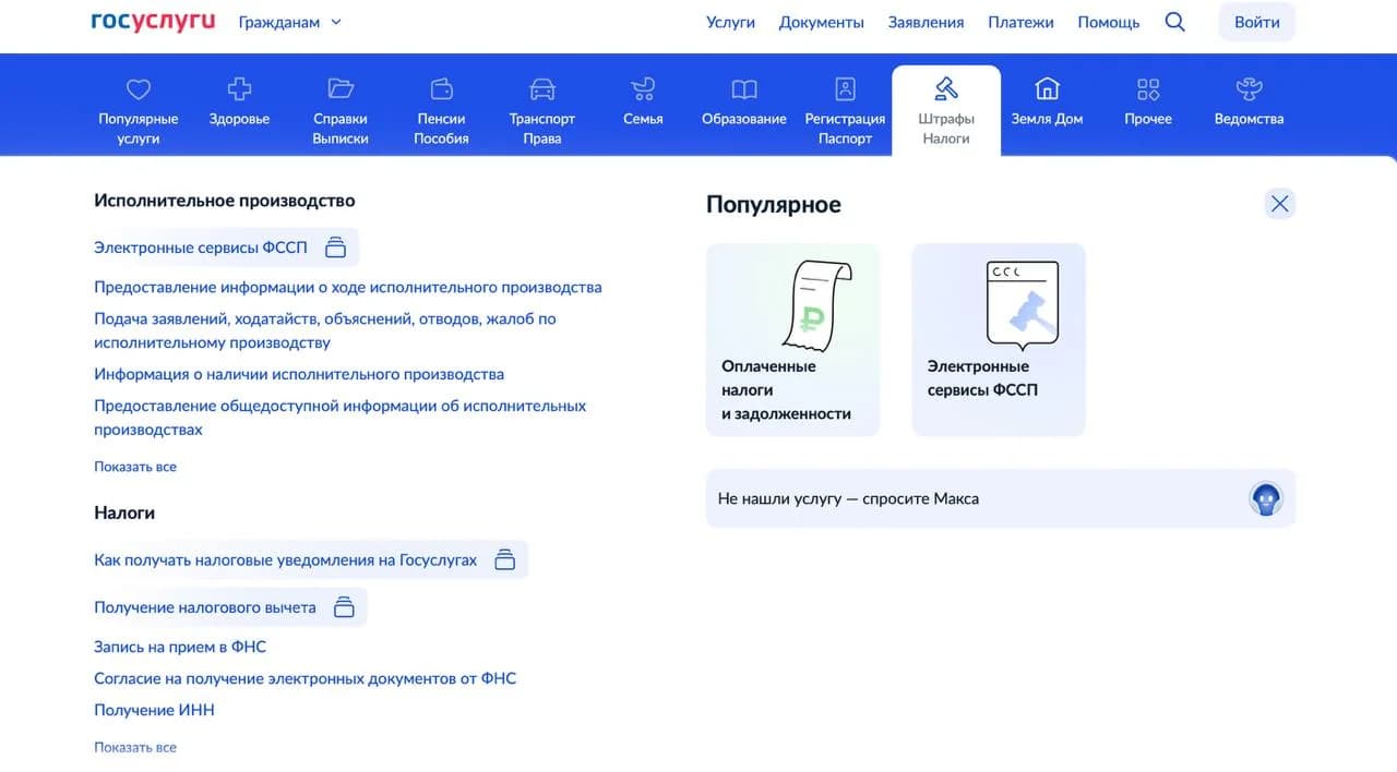 Gosuslugi — Public Services Portal — screen 3